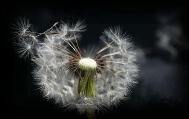 线切割钼丝出现断丝该如何处理?